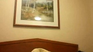 Pregnant BBW With Big Tits Masturbates on Webcam