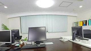 Is It a Shura or a Harem Under the Office Desk?