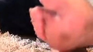 sweaty slipper socks