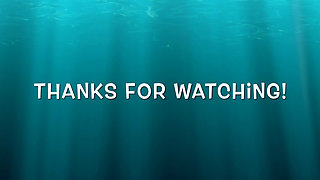 Part 3:- Lanista Bear teaching sensation play with Allegro