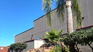 Stream Started Tanning