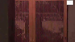 333--whatyou-ending-who-sfs