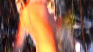 Amateur French Teen Outdoor softcore